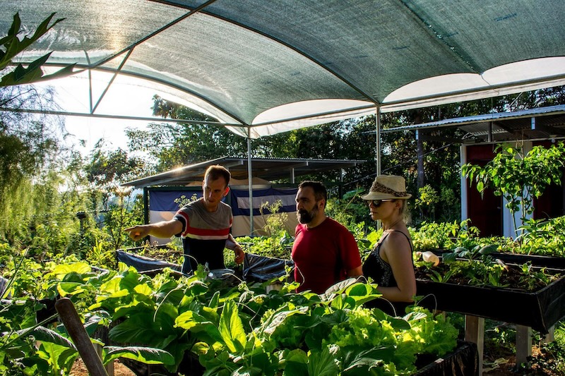 growing our own food