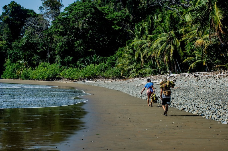 beach in costa rica