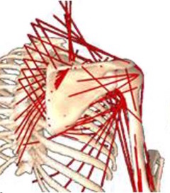 compensation in movement