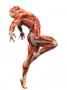 The art of movement