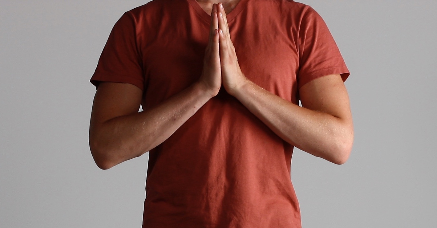 anjali mudra hands in prayer