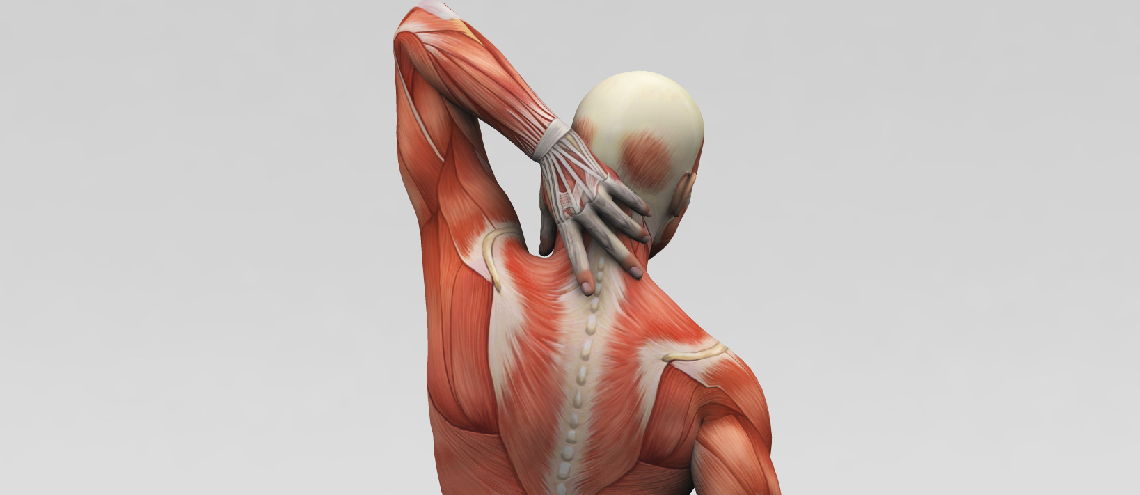 neck pain