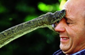 snake biting face