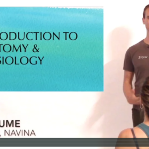 A&P online course screen grab