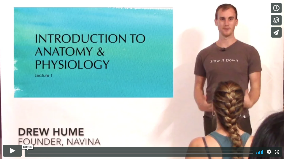 A&P online course screen grab